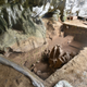 The archaeologists' dig site.